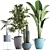 Exotic Houseplant Collection 3D model small image 1