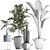 Exotic Houseplant Collection 3D model small image 3