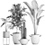 Exotic Houseplant Collection 3D model small image 5