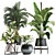 Exotic Plant Collection 441 3D model small image 1