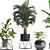 Exotic Plant Collection 441 3D model small image 2