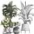 Exotic Plant Collection 441 3D model small image 3