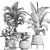 Exotic Plant Collection 441 3D model small image 5