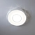 Altalusse Ceiling Light INL-9348C 3D model small image 2