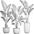 Exotic Houseplant Collection: Banana Palm & Ravenala 3D model small image 4