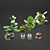 Exotic Plant Collection: Plant & Vase 3D model small image 2