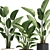 Exotic Houseplants Collection 3D model small image 3