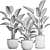 Exotic Houseplants Collection 3D model small image 4