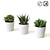 Everlasting Greenery: Artificial Succulents 3D model small image 1