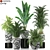 Exquisite Plants Set 236 3D model small image 1