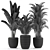Exquisite Plants Set 236 3D model small image 5