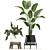 Exotic Plant Collection with Decorative Pots 3D model small image 2