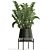 Exotic Houseplant Collection: Zamioculcas & Caladium in Pots 3D model small image 2