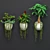 Green Oasis Wall Plant Set 3D model small image 1
