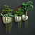Green Oasis Wall Plant Set 3D model small image 2