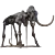 Mammoth Fossil: High-Res Skeleton 3D model small image 1