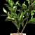 3D Plant Model - High Quality Archive 3D model small image 2