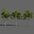 Variations of Trees (Summer-Autumn) 3D model small image 3