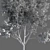 Variations of Trees (Summer-Autumn) 3D model small image 5