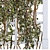 Versatile Trellis for Indoor & Outdoor Plants 3D model small image 2
