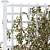 Versatile Trellis for Indoor & Outdoor Plants 3D model small image 3