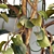 Versatile Trellis for Indoor & Outdoor Plants 3D model small image 4