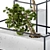 Marble Pot Bonsai Pine - 3 Types 3D model small image 3