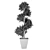 Spiral Boxwood - 1447mm Height 3D model small image 4