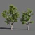  Seasons Tree Pack 3D model small image 2