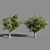 Title: 4 Varieties of Summer-Autumn Trees 3D model small image 3