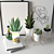 72K Unique Cactus Set 3D model small image 2