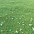 Lush Green Landscape Grass 3D model small image 1