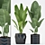 176 Plants: Aspidistra, Succulent, Palm with Black & Color Pot 3D model small image 1