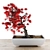 Vibrant Rainbow Bonsai Tree 3D model small image 4