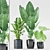 Exotic Plants in Black Ceramic 3D model small image 1