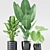 Exotic Plants in Black Ceramic 3D model small image 2