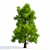 Glistening Silver Maple Tree 3D model small image 1