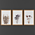 Wooden Frame Picture Set 3D model small image 1