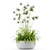 Botanical Bliss: Stunning Plant Collection 3D model small image 2