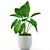 Botanical Bliss: Stunning Plant Collection 3D model small image 4