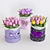 Spring Blooms Gift: Tulips in Box 3D model small image 6