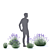 Narrow-Leaved Lavender Plant | Lavandula angustifolia 3D model small image 5