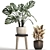 Exotic Monstera Collection: Variegated Houseplants 3D model small image 2