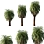 Macrozamia Moorei Palm Tree: Elegant, Realistic 3D Model 3D model small image 1