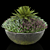 Botanical Bliss: Vase with Heather and Fern 3D model small image 5