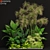 Exquisite Plant Assortment 241 3D model small image 1