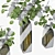 Silver Dollar Eucalyptus Vase 3D model small image 4