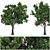  Maple Tree: Natural Beauty for Your Garden 3D model small image 1