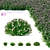 Japanese Spiraea Little Princess Bushes 3D model small image 1