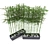 Natural Bamboo Garden Fence 3D model small image 2